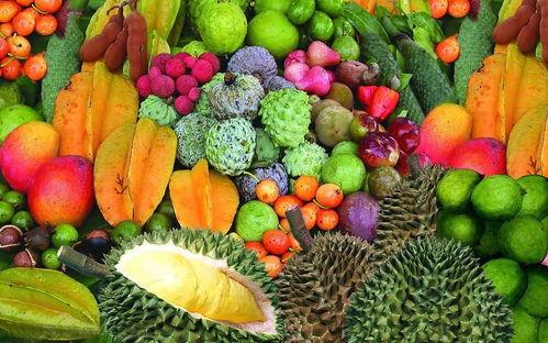 海南水果市场爆料案件最新,揭露背后利益链与食品安全危机 第3张 海南水果市场爆料案件最新,揭露背后利益链与食品安全危机 第3张